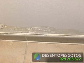 Serviços de detecção de infiltrações de água