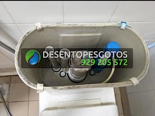 Repair of toilet flushing systems on the spot