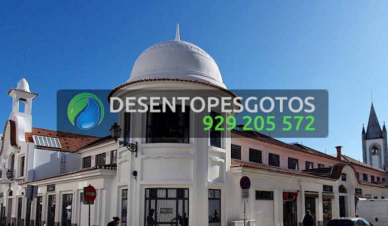 Desentupimentos Campo de Ourique