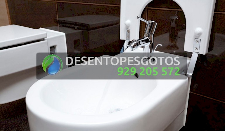 Desentupimentos Campolide