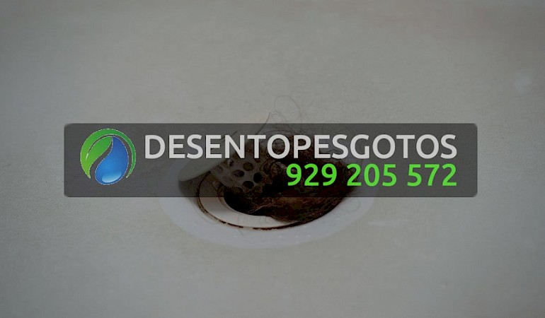 Desentupimentos Misericórdia