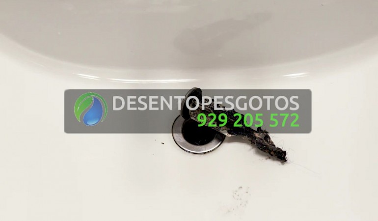 Desentupimentos Frielas