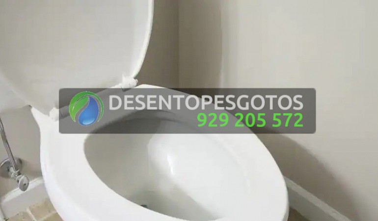 Desentupimentos Moscavide