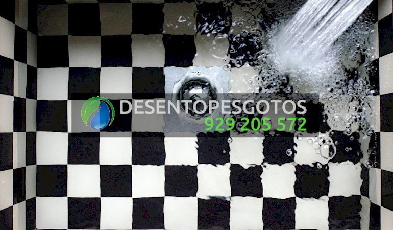 Desentupimentos Belas