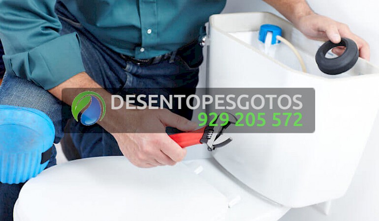 Canalizadores Avenidas Novas