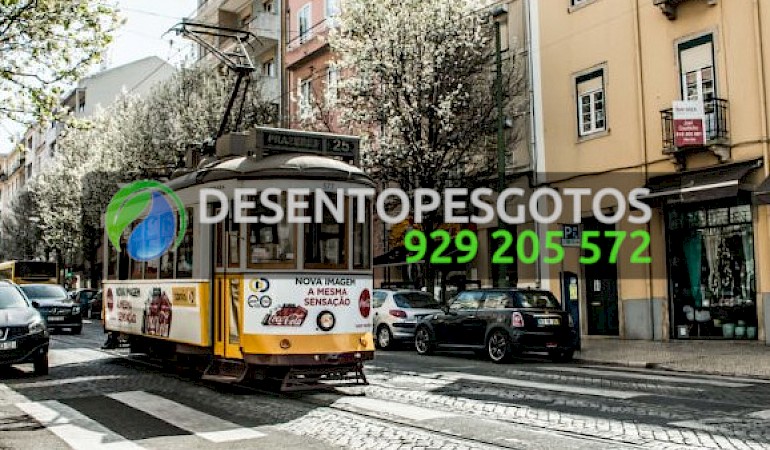 Canalizadores Campo de Ourique