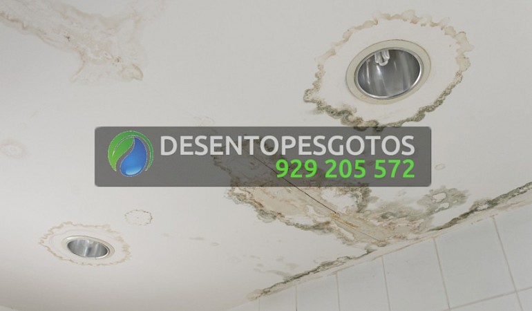 Detecção de Fugas de Água Lisboa