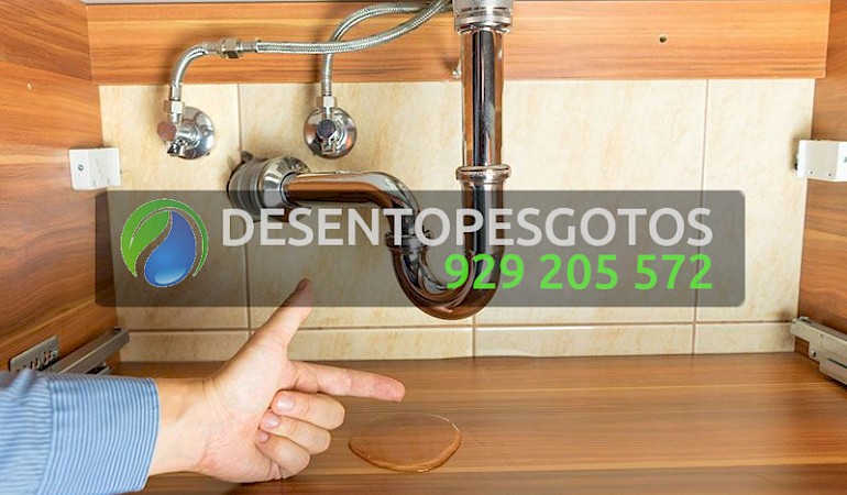 Infiltrações e Detecção de Fugas de Água Frielas