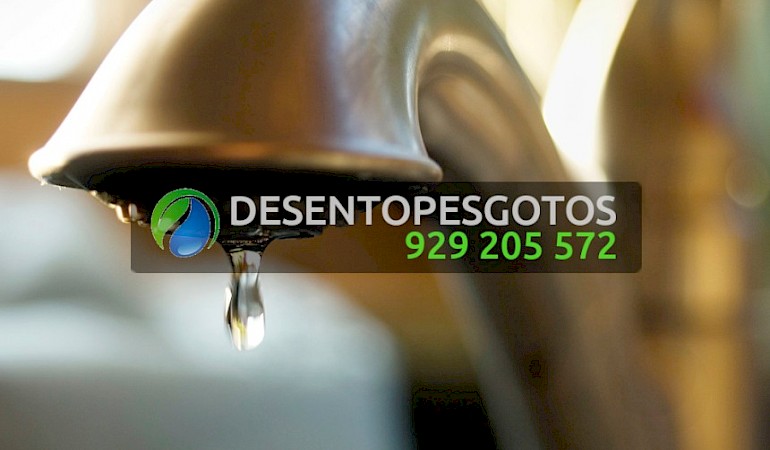 Infiltrações e Detecção de Fugas de Água Moscavide