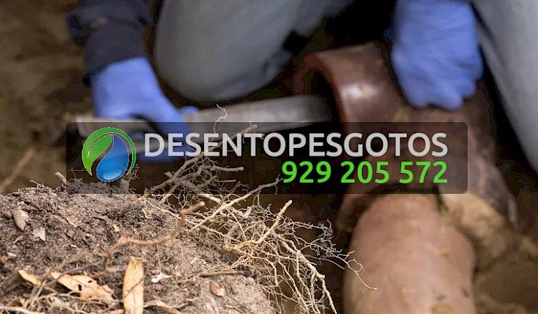 Desentupimentos Azambuja