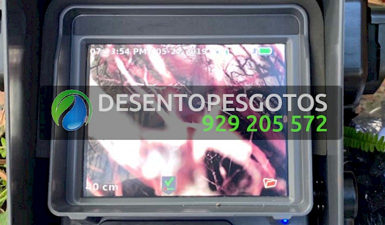 Desentupimentos Alcoutim