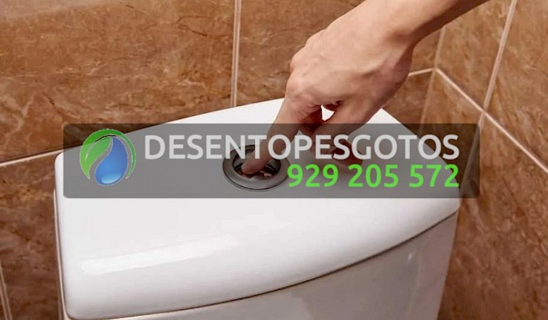 Reparação de Autoclismos e Montagem de Sistema de Descarga