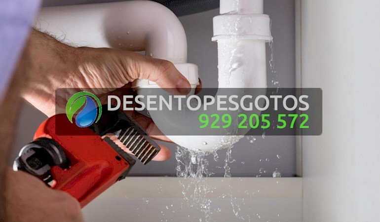 Canalizador Alenquer