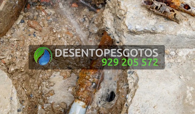 Detecção de Fugas de Água e Infiltrações em Silves