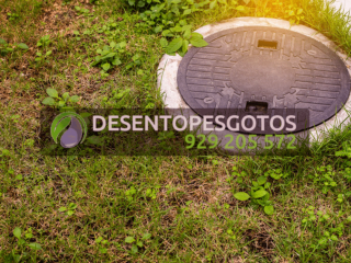 Três Coisas que NÃO Deve Colocar na Sua Fossa Séptica