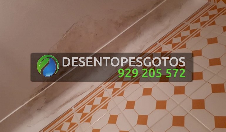 Detecção de Fugas de Água e Reparação Almancil