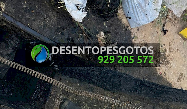 Desentupimento de Canos com Raízes