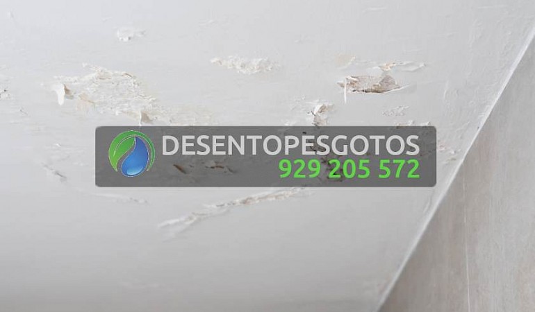 Como distinguir infiltrações estruturais e fugas de água