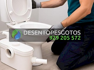 Bombas e Trituradores Sanitários