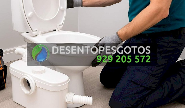 Bombas e Trituradores Sanitários