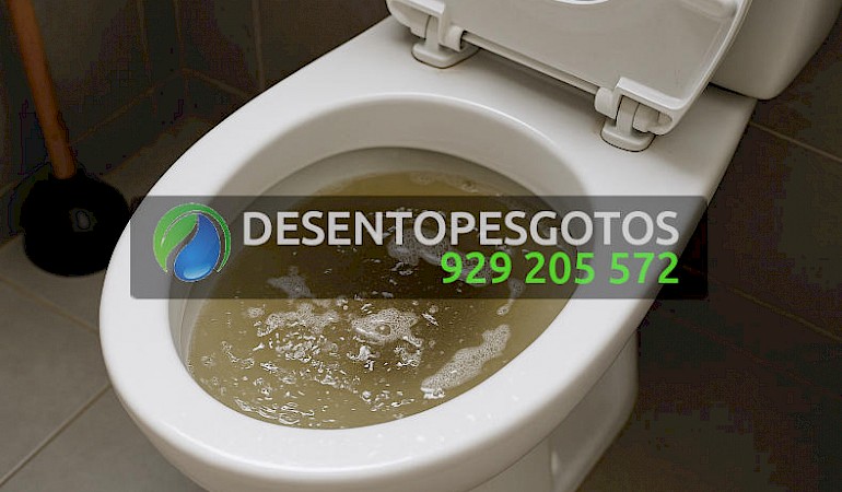 Desentupimentos de Sanitas