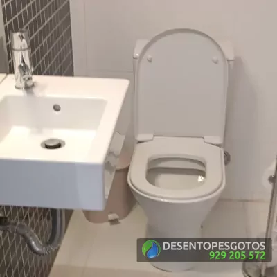 Desentupimento de Sanitas