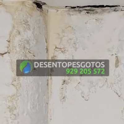 Reparação de Fugas em Canalizações