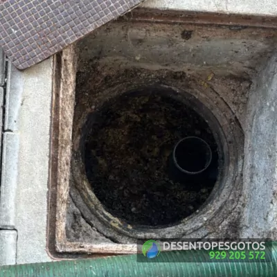 Higienização de Caixa de Esgoto